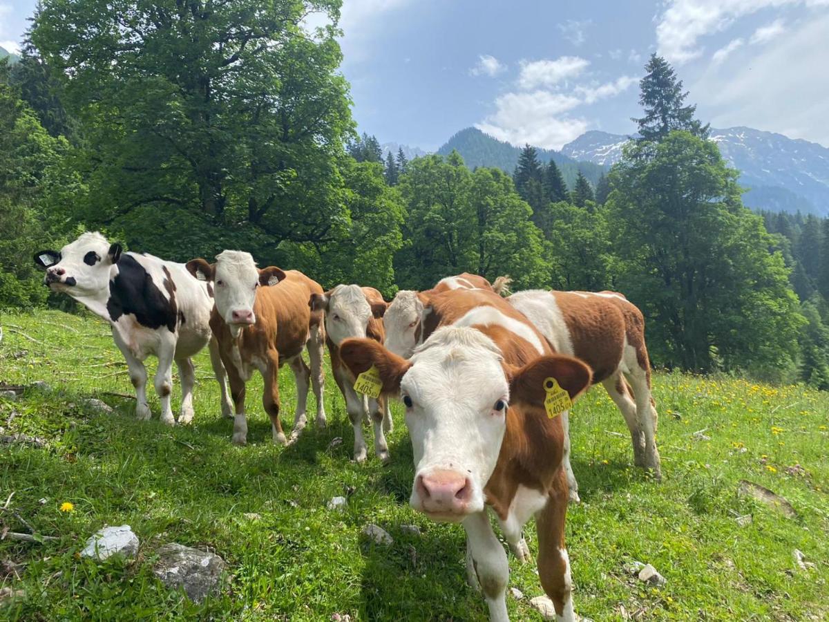 Hotel Alpina Kleinarl Zewnętrze zdjęcie