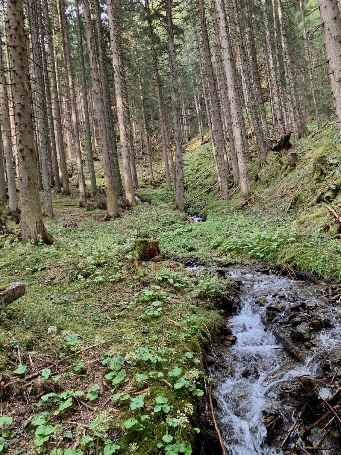 Hotel Alpina Kleinarl Zewnętrze zdjęcie