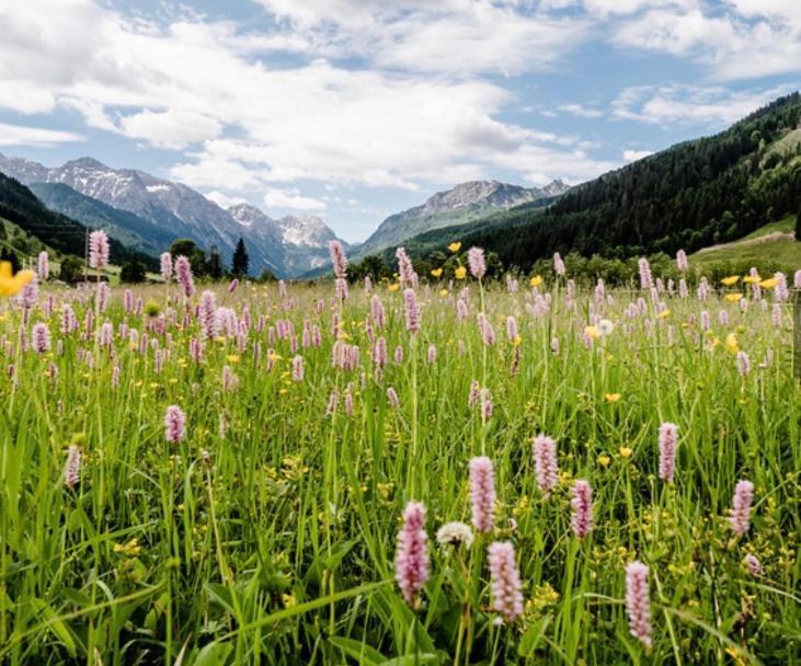 Hotel Alpina Kleinarl Zewnętrze zdjęcie