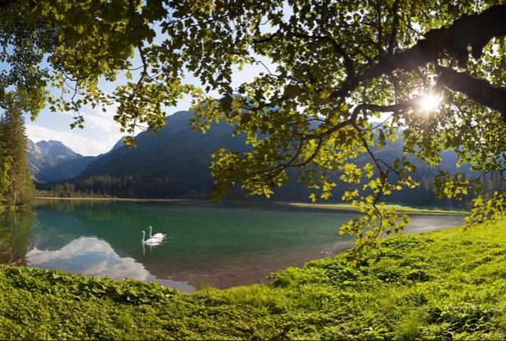 Hotel Alpina Kleinarl Zewnętrze zdjęcie
