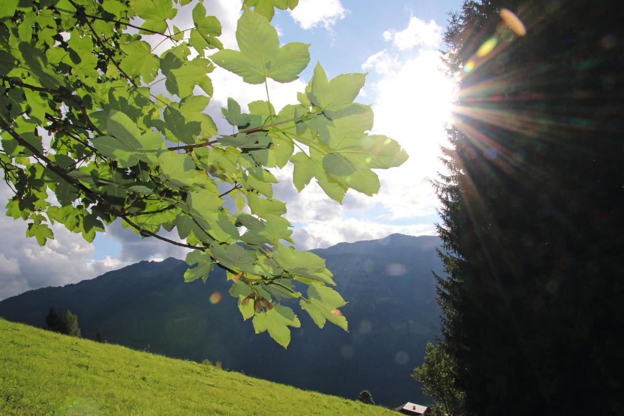 Hotel Alpina Kleinarl Zewnętrze zdjęcie